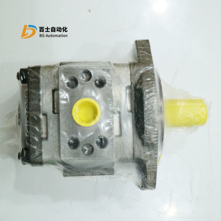 IGP4-013/R01/10意大利DUPLOMATIC齿轮泵